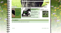 Desktop Screenshot of llariego.com